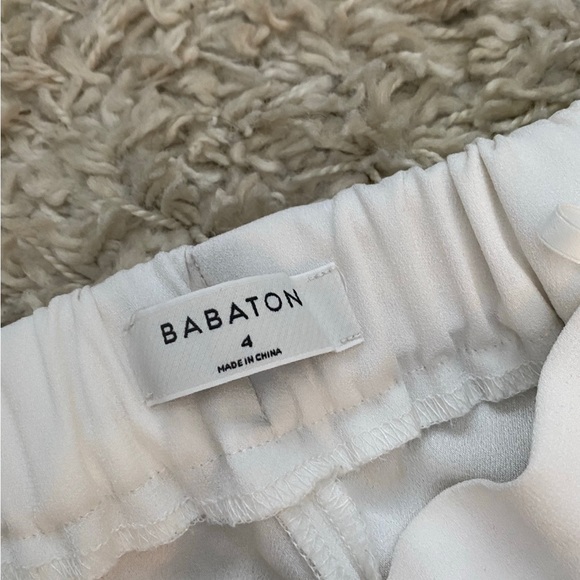Aritzia Babaton Cohen Pant - Picture 3 of 5